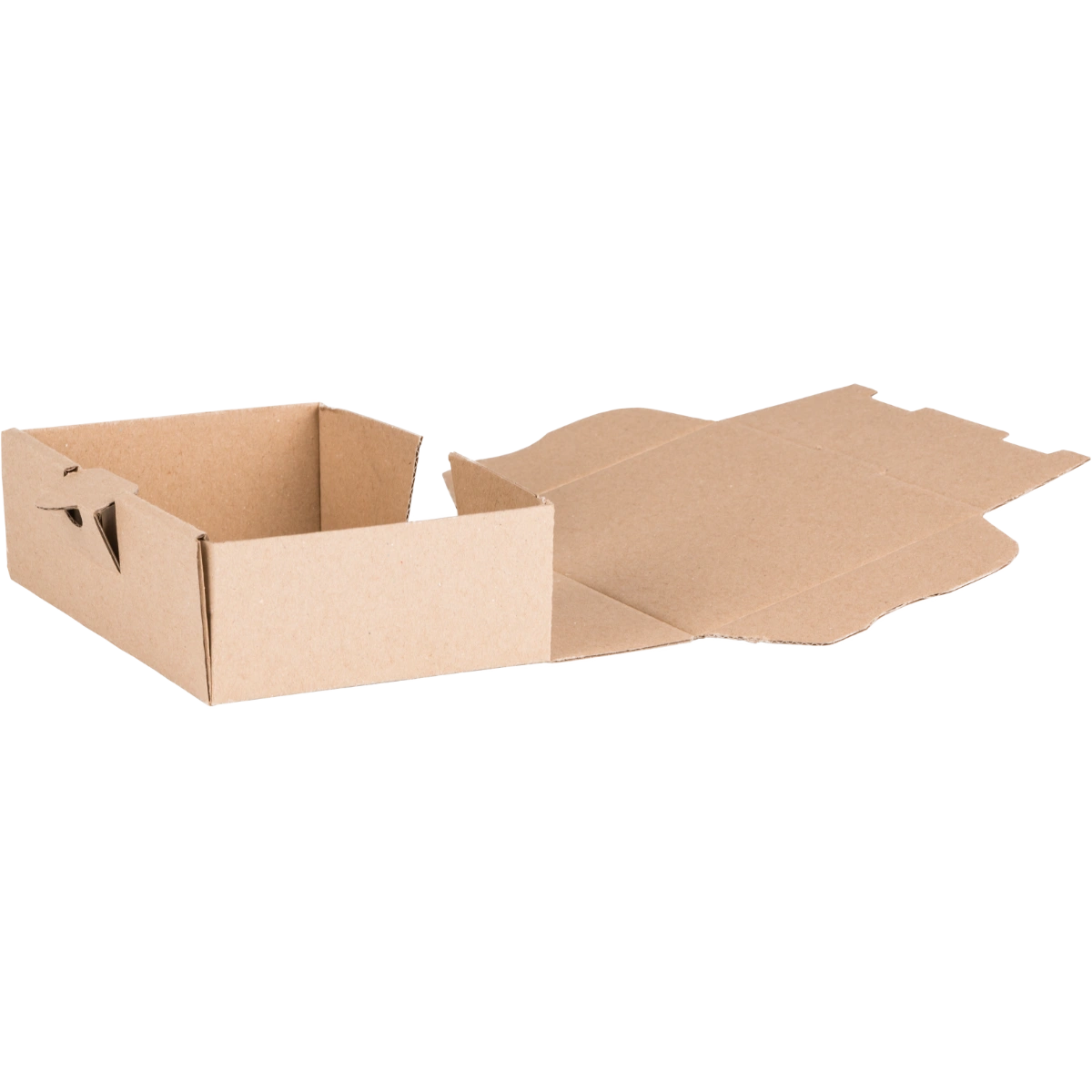 Maxibriefbox 160x110x50 mm - offen